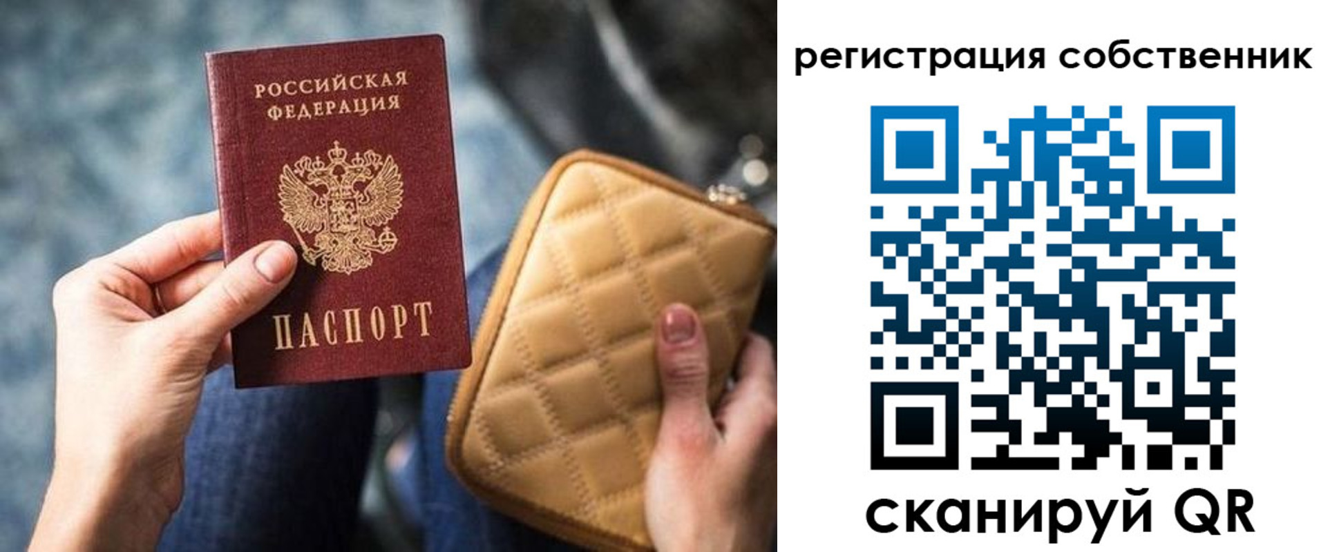 прописка в квартире в Зверево